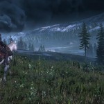 !_NEW_The_Witcher_3_Wild_Hunt_Horse